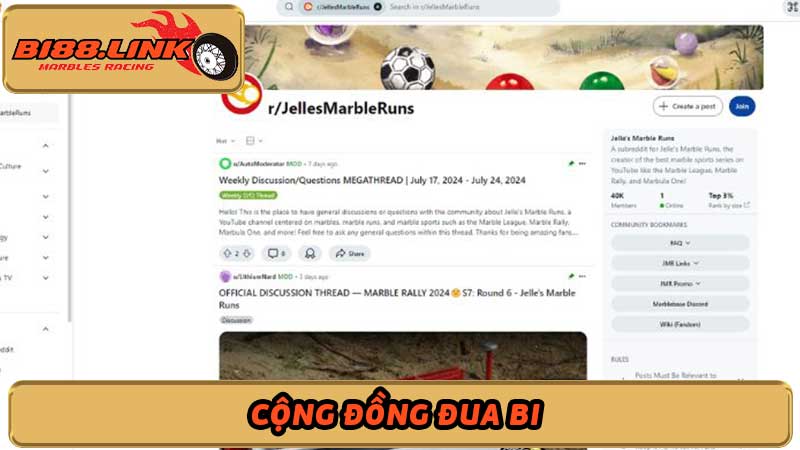 Cộng đồng Đua Bi Online Nơi hội tụ những tay đua tài ba