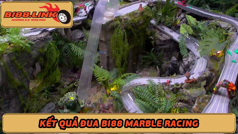 Kết quả đua bi Marble Racing Ai là người chiến thắng